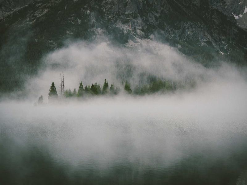 feedback screenshot 6