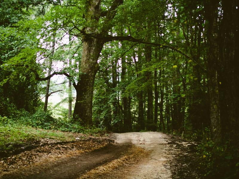 sudoku solving methods screenshot 1